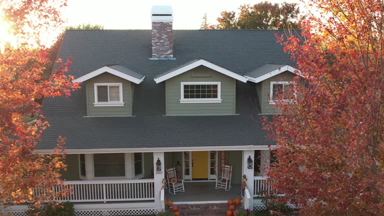 Best Skylight Installation and Repair  in Laurel, DE