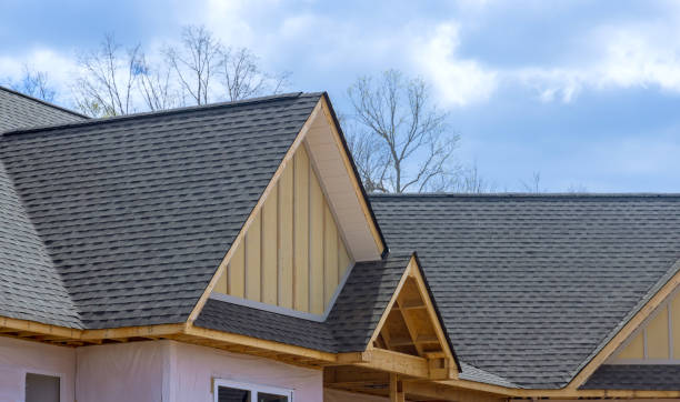 Best Solar Panel Roofing Installation  in Laurel, DE